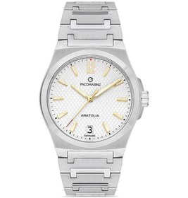 Resim Pacomarine Pm.22001.02 Erkek Kol Saati Altın - Siyah 