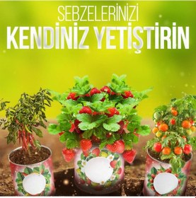 Resim Hobibahçem Konserve Bahçem Evde Konservede Fındık Turp Yetiştirme Kiti 