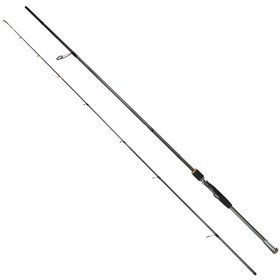 Resim Captain 1740 Herring Jigger 2 Parça Spin Kamış 248cm 8-32gr Action 