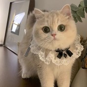 Resim 1 adet Sevimli Çilek Çan Kedi Önlüğü - Sevimli Evcil Hayvan Damağı Havlusu, Polyester Kalp Desenli Kedi ve Köpekler için Yumuşak ve Dayanıklı 