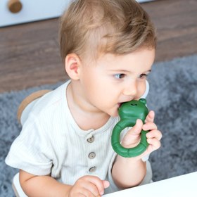 Resim Hubble Frogglering Diş Kaşıyıcı Kauçuk Oyuncak 