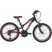 Resim Bisan Buffalo Çocuk Bisikleti 30 cm V 24 Jant 18 Vites Mat Siyah Kırmızı 