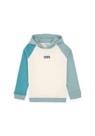 Resim U.S. Polo Assn. Erkek Çocuk Mint Kapüşonlu Sweatshirt 50316606-VR090 