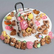 Resim 21 Parça Karanlıkta Parlayan Kapibara Koleksiyon Seti - DIY Bavul Saklama Kutusu Dahil (20 Renkli Figür: Pembe, Kahverengi, Yeşil, Sarı, Beyaz) & Oda Partisi Süsleri, Çeşitli Şekillerde Hayvan Aksesuarları ile Sergileme ve Temalarda kullanım için 