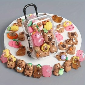 Resim 21 Parça Karanlıkta Parlayan Kapibara Koleksiyon Seti - DIY Bavul Saklama Kutusu Dahil (20 Renkli Figür: Pembe, Kahverengi, Yeşil, Sarı, Beyaz) & Oda Partisi Süsleri, Çeşitli Şekillerde Hayvan Aksesuarları ile Sergileme ve Temalarda kullanım için 