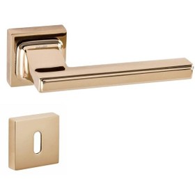 Resim Doğanlar Techno Kare Rozetli Kapı Kolu Albrifin Oda 