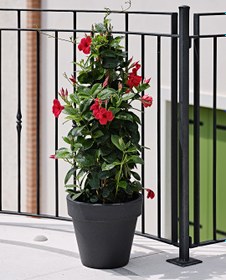 Resim Vaso Standart One 120 Plastik Saksı Antrasit 