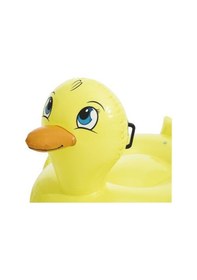 Resim Ördek Binici 135x91 Cm Bestway - 41102 Çok Renkli 