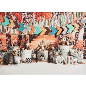 Resim Fotoğraf Çekimi Arka Plan Battaniyesi 2.1x1.5m Poliester Fiber Xt-056 Çeşitli Tematik Seri 