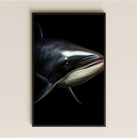 Resim Minimal Siyah Fonlu Balina Tasarımlı Şeffaf Pleksi Tablo 
