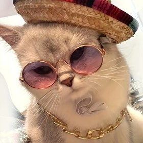 Resim 1 Adet Moda Kedi Gözlüğü Ayarlanabilir Kayış ile - UV Koruma İçin ve Dış Mekan Kullanımı İçin Pet Gözlüğü 