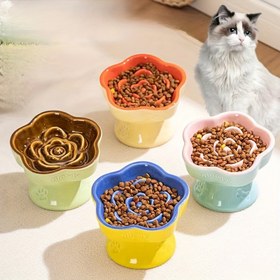 Resim Renkli Seramik Yüksek Ayaklı Yavaş Besleyici Kedi ve Köpek Kaseleri - Tıkanmayı Önleyici, Sızdırmaz, Boyun Koruyucu Evcil Hayvan Kasesi Küçük Köpekler ve Kediler İçin, İçme ve Yemek İçin Eğimli Tasarım ile 