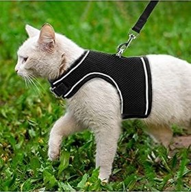 Resim BYPET Yeni Nesil Nefes Alabilen Kedi Göğüs Tasması Seti (Medium, Siyah) 