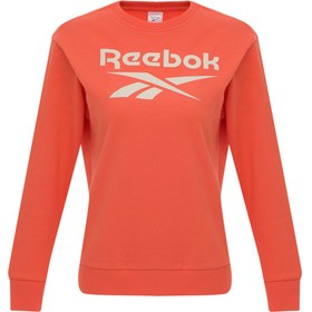 Resim RI BL Fleece Crew Yavruağzı Kadın Sweatshirt 
