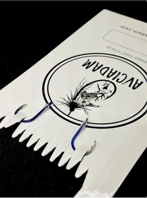 Resim Yılan Dili Çipura Özel 