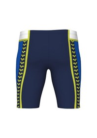 Resim Arena Icons Erkek Yüzücü Mayosu 006675871 Çok Renkli 