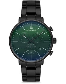 Resim Momentus Cc293n-10sx 