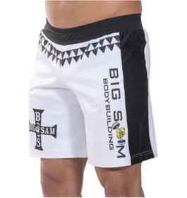 Resim Big Sam Erkek Fitness Şort 1446 