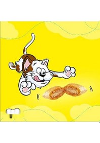 Resim Somon Ve Peynirli Kuru Kedi Ödül Maması 60 Gr, 2'li Paket 0.75 LT - 2.5 LT - 12 KG 