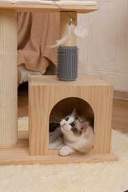 Resim Mona Kedi Tırmalama Alanı 