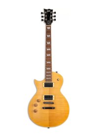 Resim Esp Ltd Ec-256 Eclipse Vintage Natural Elektro Gitar Solak 