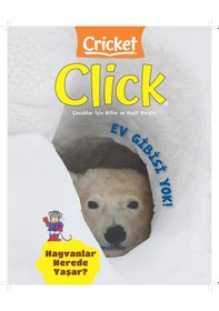 Resim Crıcket Clıck 5. Sayı 