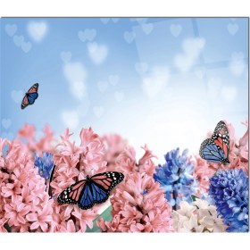 Resim Olinpa Cam Ocak Arkası Koruyucu | Kelebek 