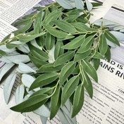 Resim 24 Adet, 15cm Yapay Yeşillik, DIY Dekoratif Bitki ve Çiçeğe Uygun Parti Etkinlik Malzemeleri, İç Mimari Süsleme, Şenlilkler iin dekorasyon bitkisel malzeme 