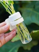 Resim Wezone Kuş Yemi Koruyucu - Su Kültürü Sebze Tazelik Saklama Kutusu, Yemek Besleme Aleti, Beyaz, Abs Plasik, 50 Ml 