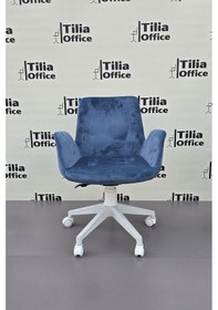 Resim Maki Çalışma Ve Çocuk Koltuğu Beyaz Ayak Mavi 