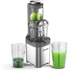 Resim Yasomi FruitForce 8 Segment 180W Katı Meyve ve Sebze Sıkacağı Gri 