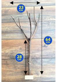 Resim Venty Duvar Tipi Papağan Tüneği 64 cm - Doğal Tünek | Muhabbet, Forpus, Sevda, Cennet, Kakariki M270 
