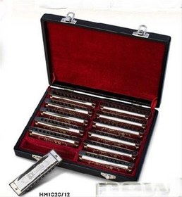 Resim Valencia HM1020-12 Mızıka Seti (12'li) | Farklı Tonlar - Okullar İçin Toplu Set - Kutulu 