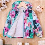 Resim Kızlar İçin Sonbahar ve Kış Yeni Kalın Peluş Kapüşonlu Karakter Baskılı Ceket 