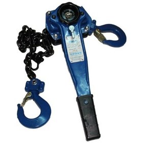 Resim Echolift Hubzug 1.5 Ton 1.5 Metre 