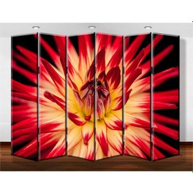 Resim Dekobul Taç Çiçek 6 Kanat Tekerlekli Kanvas Paravan 