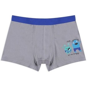 Resim Koza İç Giyim Erkek Çocuk Pamuklu Uzay Baskılı 3'lü Boxer 3053 3053-15 