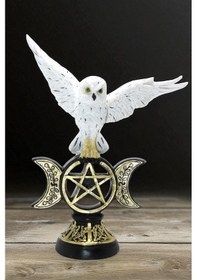 Resim Dekoratif Uçan Baykuş Figürü 