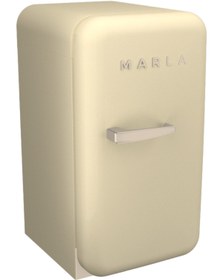 Resim Elektromarla 45 Litre Retro Minibar Mini Buzdolabı - Bej 