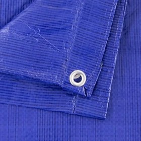 Resim Esmo Home TRA-3050 Su Geçirmez Çok Amaçlı Çok Amaçlı 5 Mil Poli Tente, 30 x 50-Foot, Mavi 