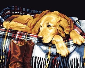 Resim Sayılarla Boyama Seti - Golden Köpek - 40x50 