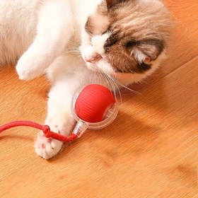 Resim Otomatik Yuvarlanan Etkileşimli Kedi Oyun Topu - İç Mekan Kedileri ve Küçük Köpekler için Çizgili Tasarımlı Şarj Edilebilir Silikon Oyuncak Top, Zihinsel Uyarım ve Egzersiz için Dayanıklı Güvenli İnteraktif Oyun, Kedi Topu 