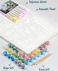 Resim Tabdiko Sayılarla Boyama Seti 40 x 50 cm Tuval Şasesine Gerili Beyaz Çiçekler 