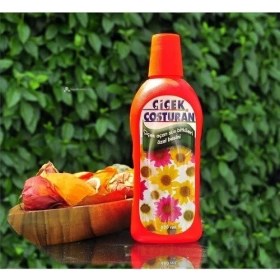 Resim Belle Fusion Mey Ithalat® Çiçek Coşturan Çiçek Açan Süs Bitkileri Için 