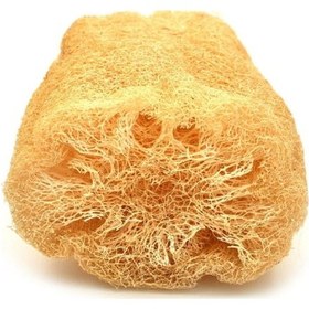 Resim Kabak Lifi Ham Parça, 15-18 Cm, 2 Adet Derya Eren 