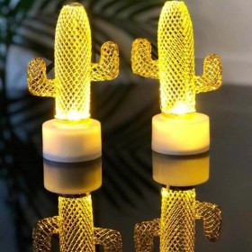 Resim Hediye Biziz Mini Dekoratif Kaktüs Işıklı 2'li 