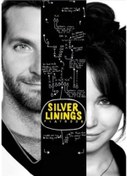 Resim Dvd - Silver Linings Playbook - Umut Işığım 