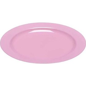 Resim Plastik Pembe Tabak 26 Cm - 10 Adet 