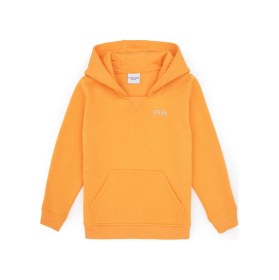 Resim U.S. Polo Assn. Erkek Çocuk Mango Kapüşonlu Basic Sweatshirt 50313808-VR244 