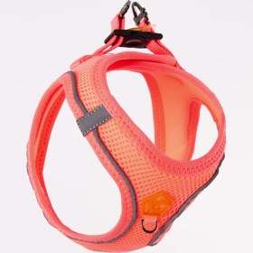 Resim Neon Pembe Airmesh Kedi Köpek Göğüs Tasması M Neon Pembe 